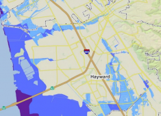 Areas of Hayward that are subject to flooding during a 100-year storm with coastal waves (purple), a 100 year storm (dark blue), and a 500-year storm (light blue).  Source: Association of Bay Area Governments