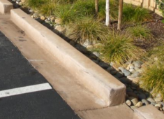 Examples of parking lots improved with landscaping that filters stormwater and provides shade.