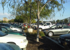 Examples of parking lots improved with landscaping that filters stormwater and provides shade.